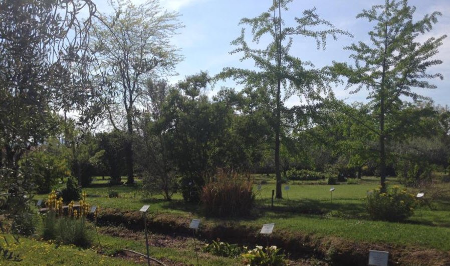 Orto Botanico Di Padova, Italy